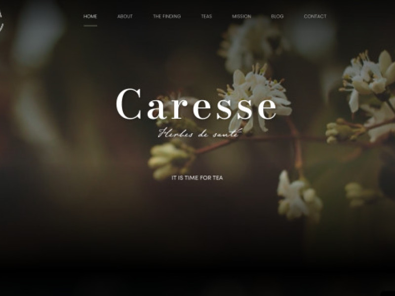 Caresse World Website Design