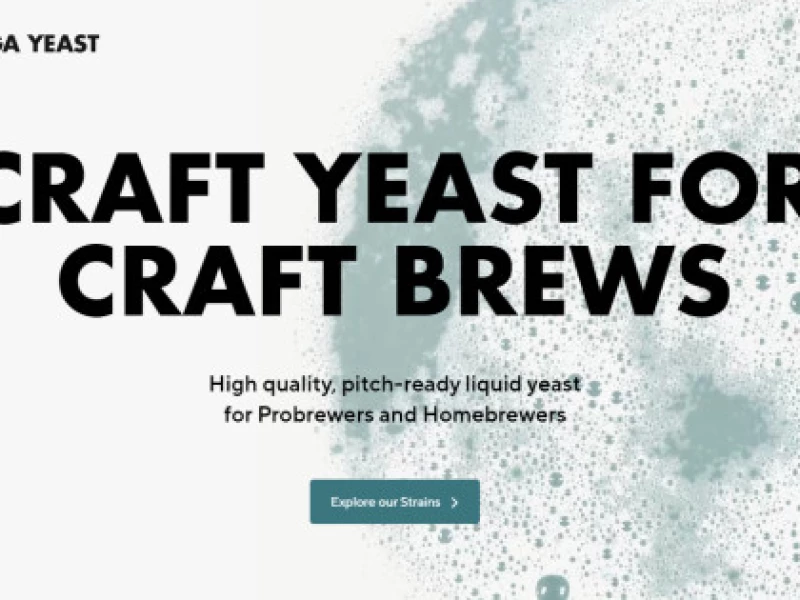 Omega Yeast Website Design Analysis
