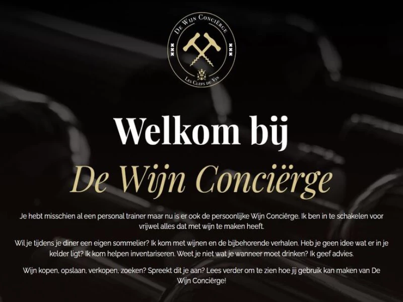 De Wijin Concierge Website Design Analysis
