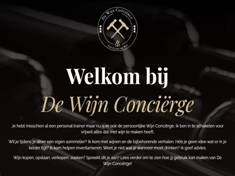 De Wijin Concierge Website Design Analysis