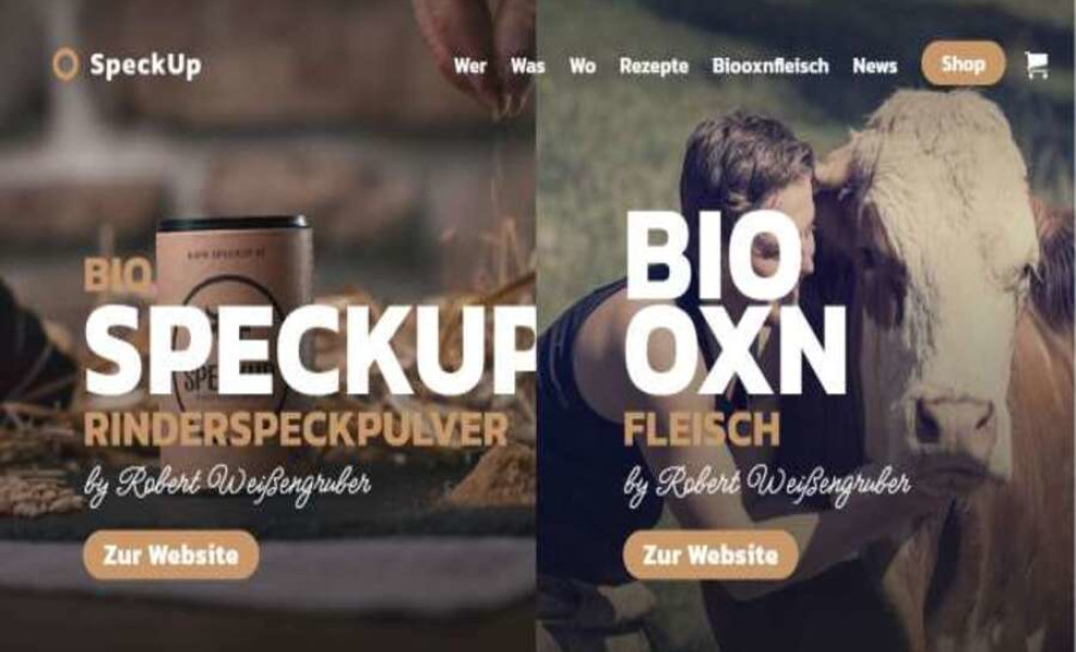 SpeckUp Website Design Analysis