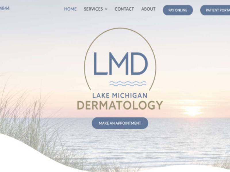 Lake Michigan Dermatology Website Design Analysis