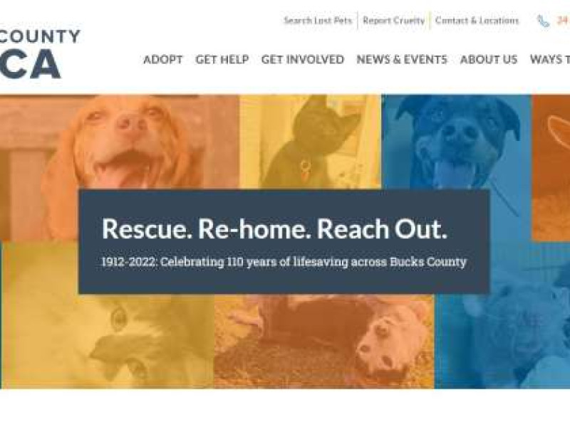 Bucks County SPCA Website Design