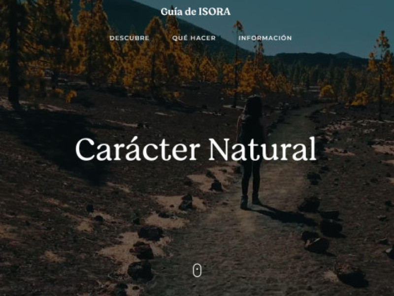 Visit Guia de Isora Website Design