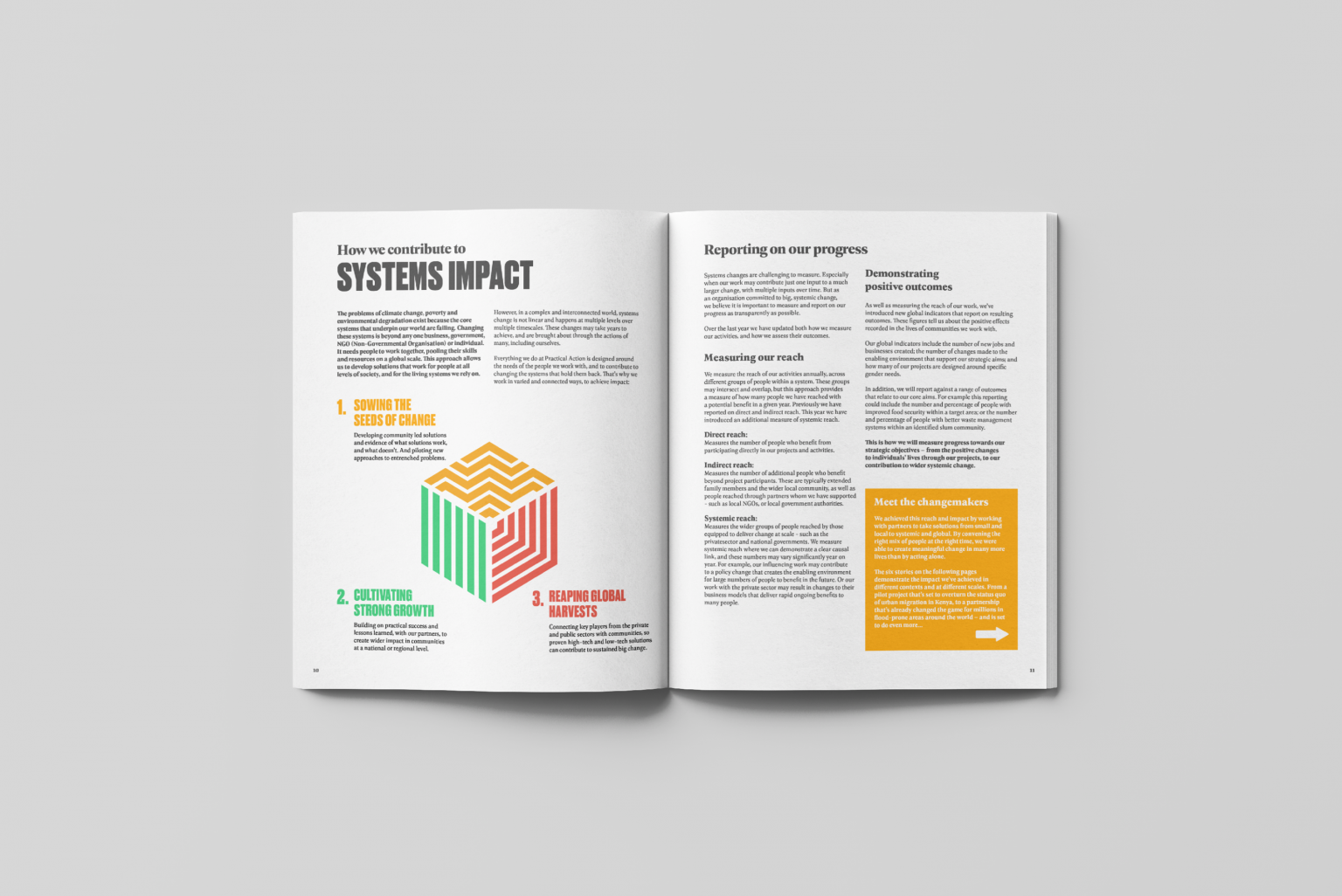 Practical Action Print Design