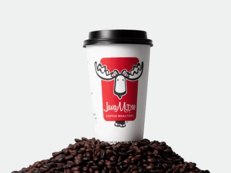 JavaMoose Logo Design Analysis