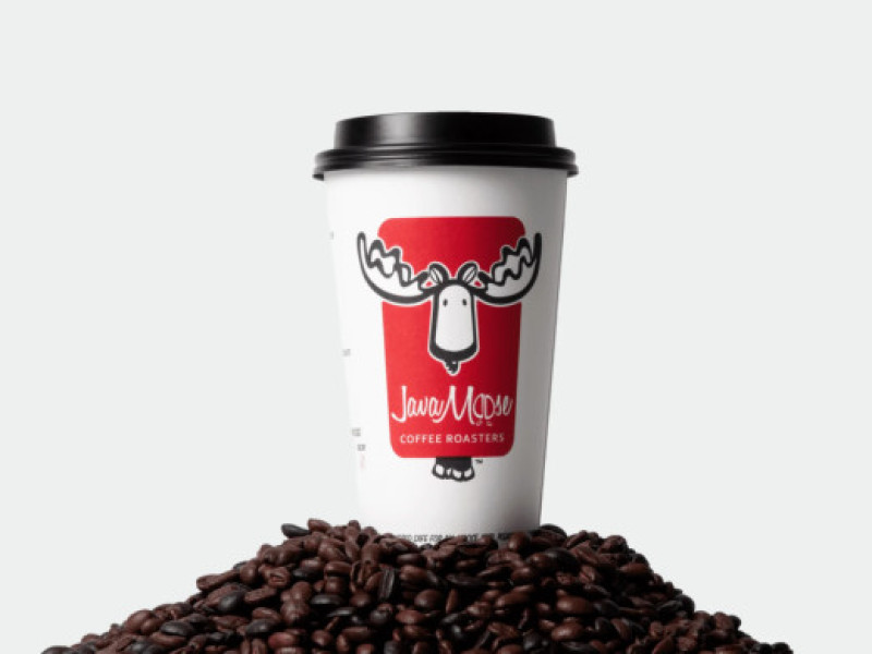 JavaMoose Logo Design Analysis