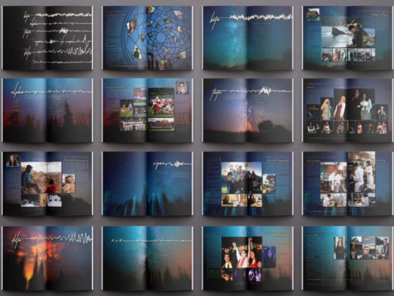 Mount Boucherie Secondary School Dream on Print Design