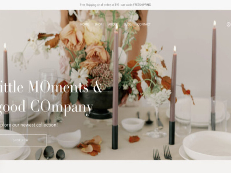 Mo & Co Home Web Design Analysis