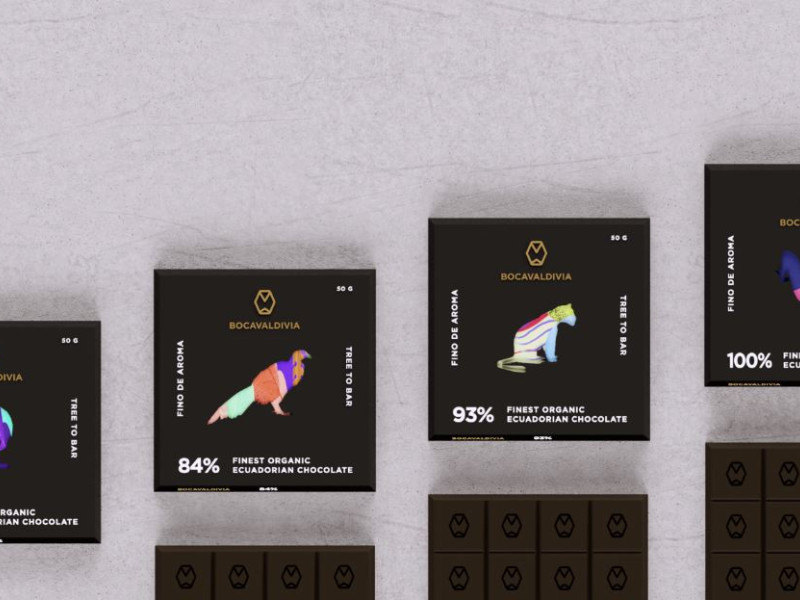 Bocavaldivia Chocolate Packaging Design