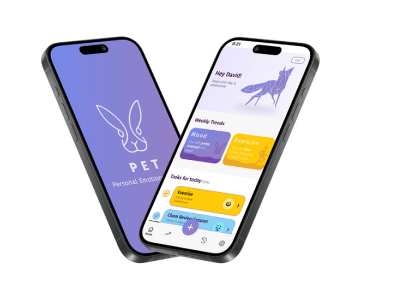 PET: Personal Emotions Tracker App Design