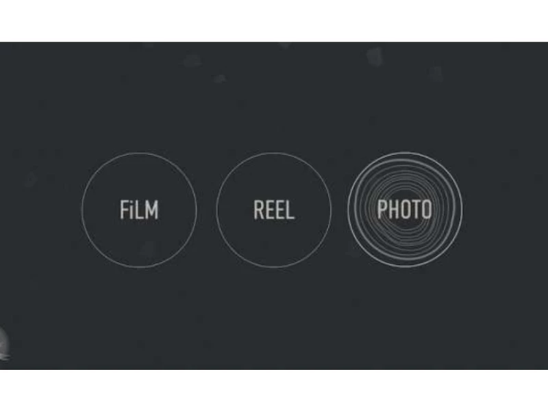 Belward Tree Films Website Design