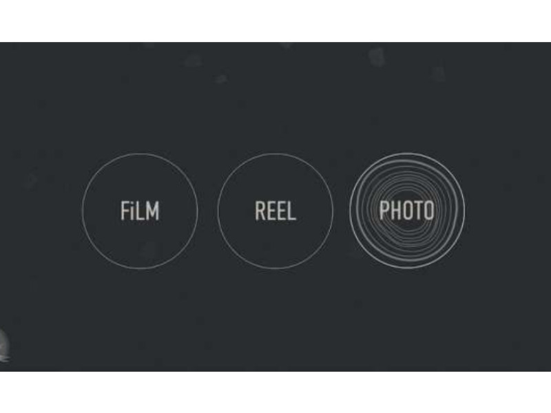 Belward Tree Films Website Design