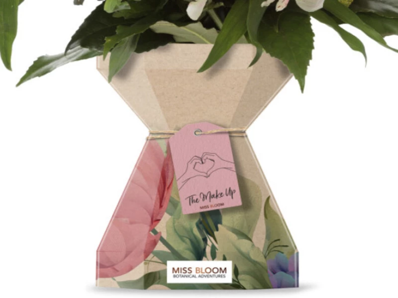 Miss Bloom Packaging Design Analysis
