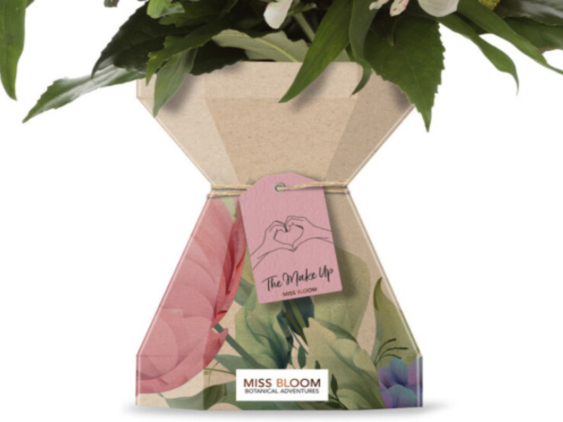 Miss Bloom Packaging Design Analysis