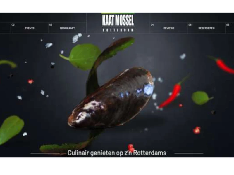 Kaat Mossel Website Design