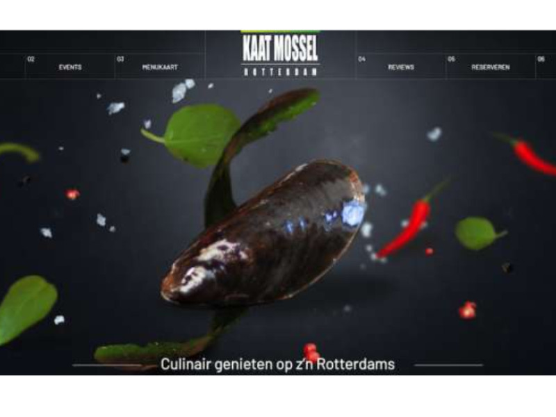 Kaat Mossel Website Design