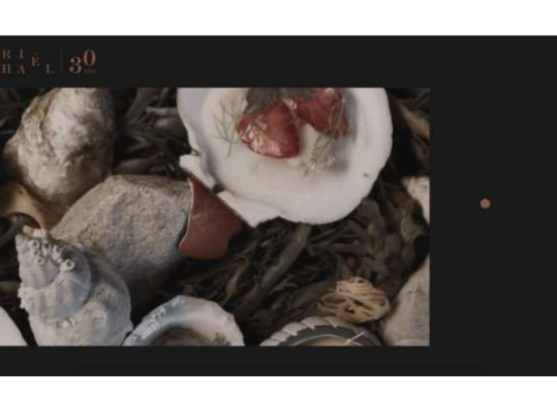 Laurie Raphaël Website Design