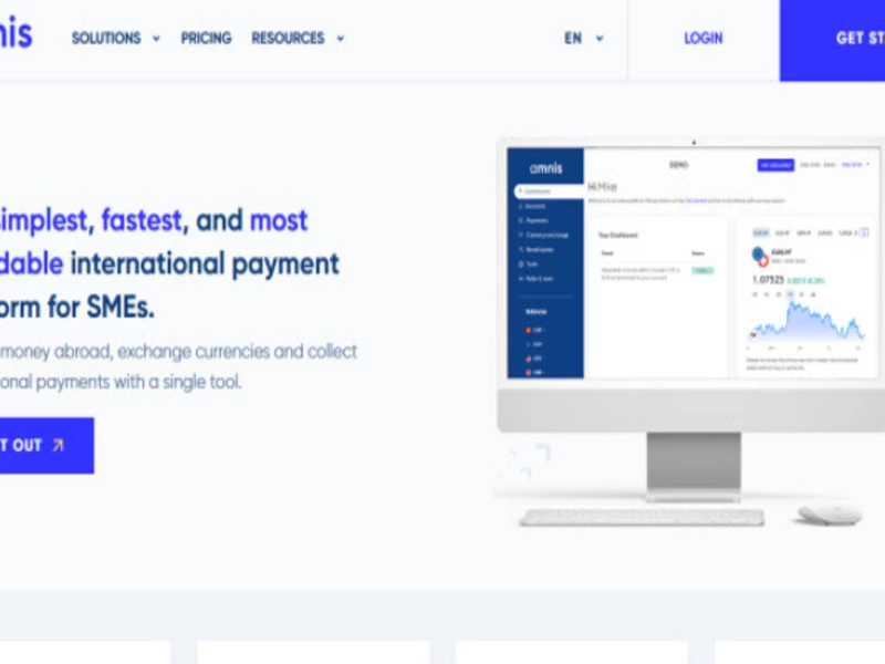 Amnis Web Design Analysis