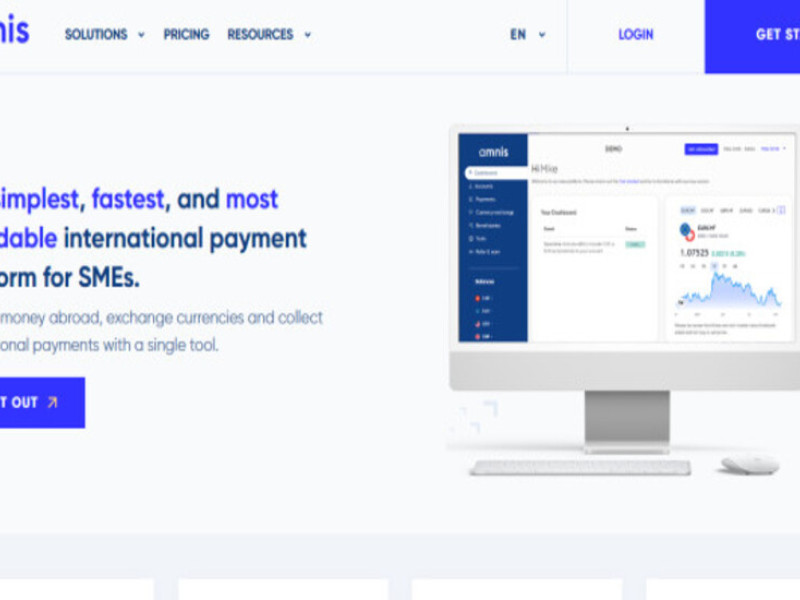 Amnis Web Design Analysis