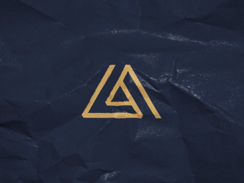 Luiz Andrade's Logo Design Analysis