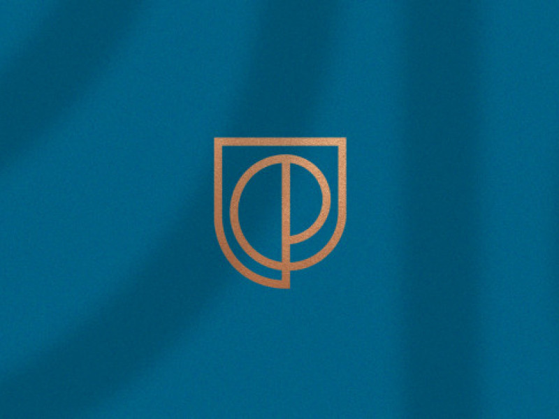 Carla Perdigão's Logo Design Analysis