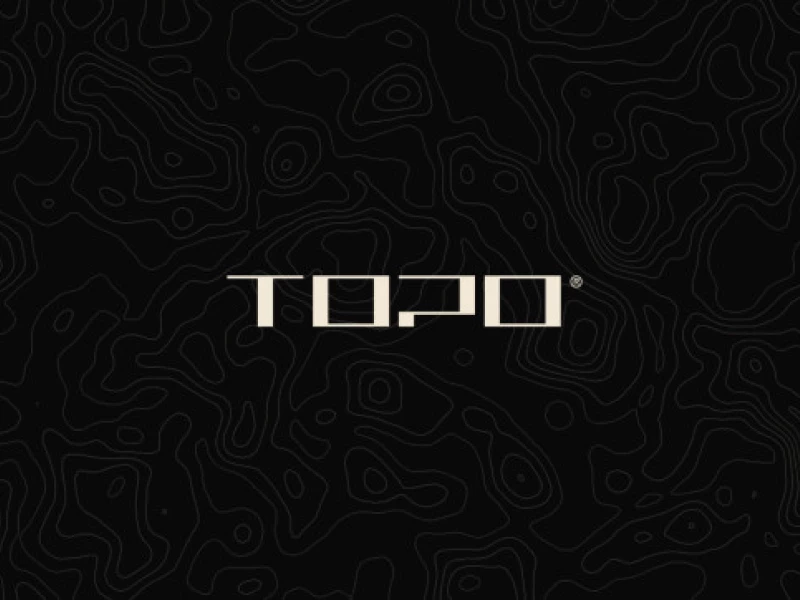 Topo's Logo Design Analysis