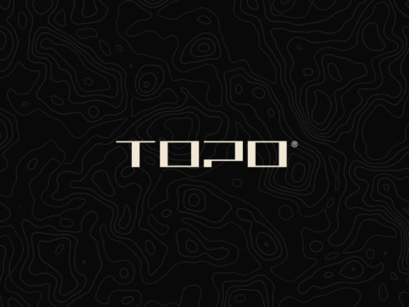 Topo's Logo Design Analysis
