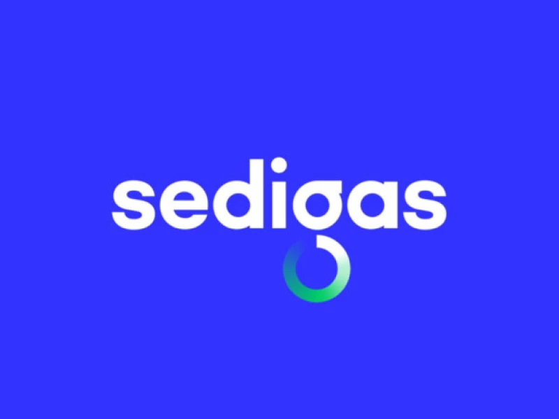 Sedigas Logo Design Analysis
