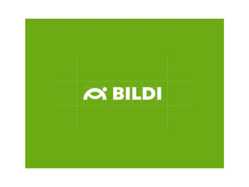 Bildi Logo Design