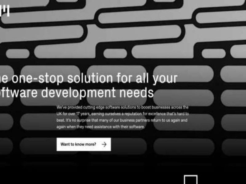Full Metal Software Web Design Analysis