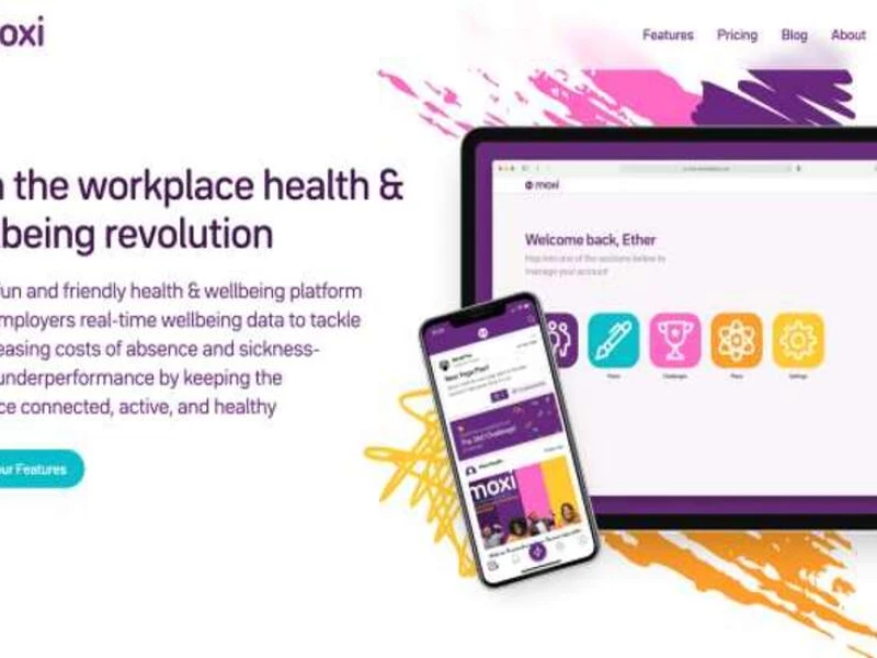 Moxi Web Design Analysis