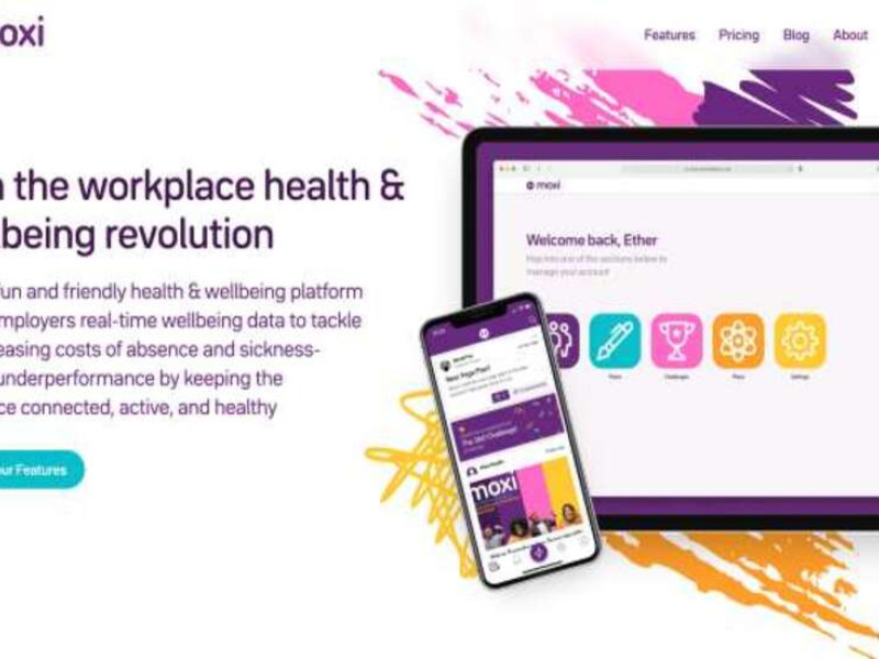 Moxi Web Design Analysis