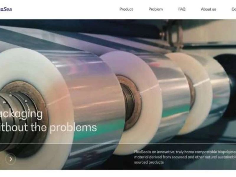 Flex Sea Web Design Analysis
