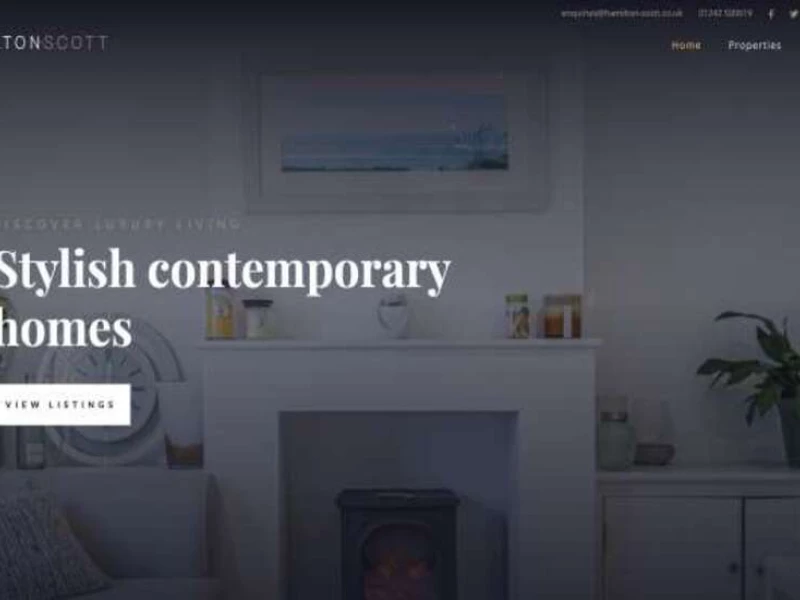 Hamilton Scott Web Design Analysis
