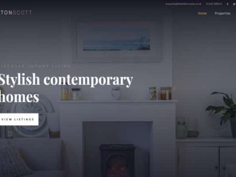 Hamilton Scott Web Design Analysis