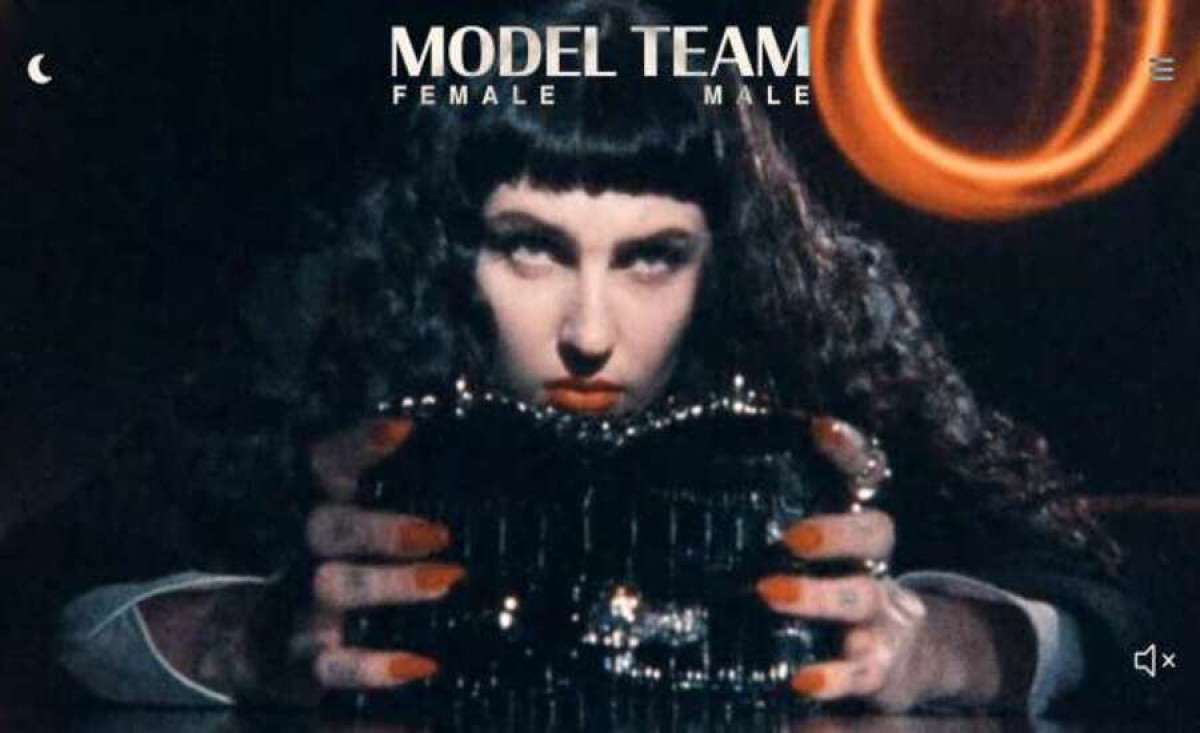 Model Team Web Design Analysis