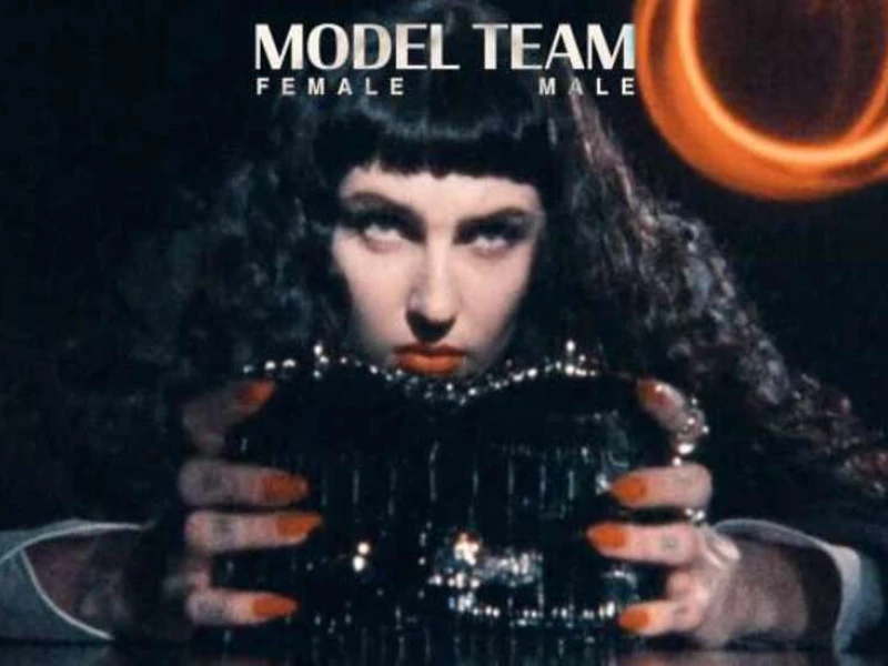 Model Team Web Design Analysis