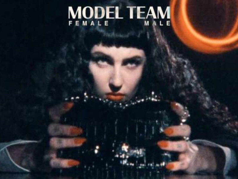 Model Team Web Design Analysis