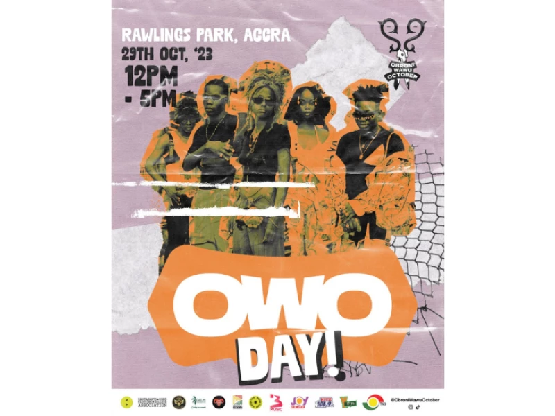 OWO Festival '23 Print Design
