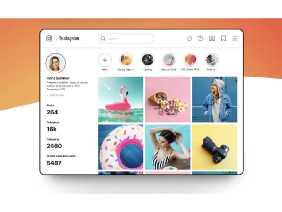 Instagram iPad Native App Concept App Design