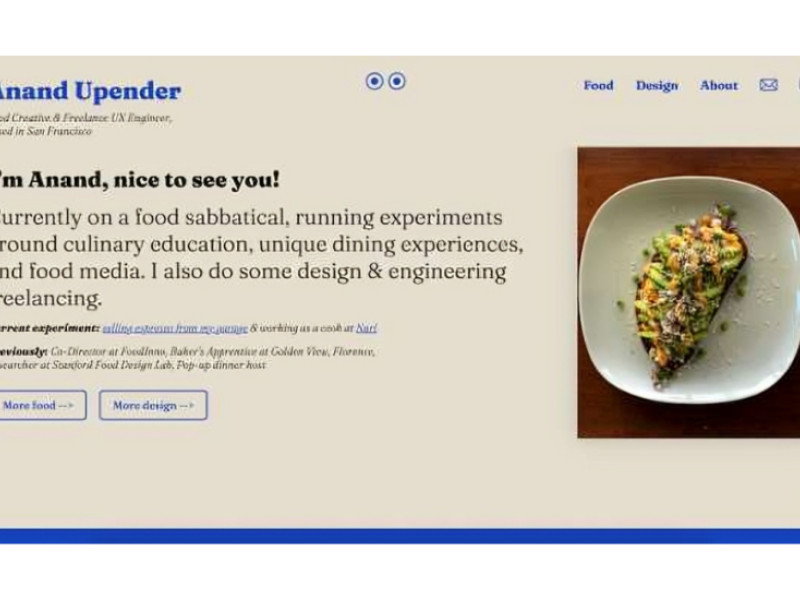 Anand Upender Website Design