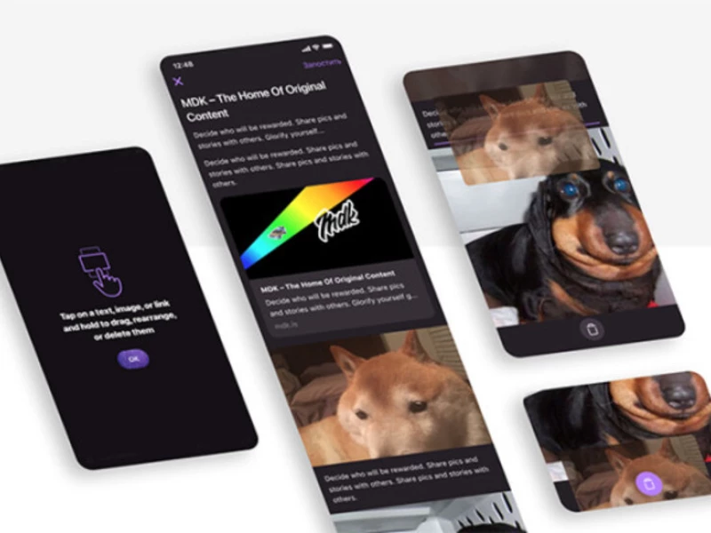 Mobile App for a Social Network App Design