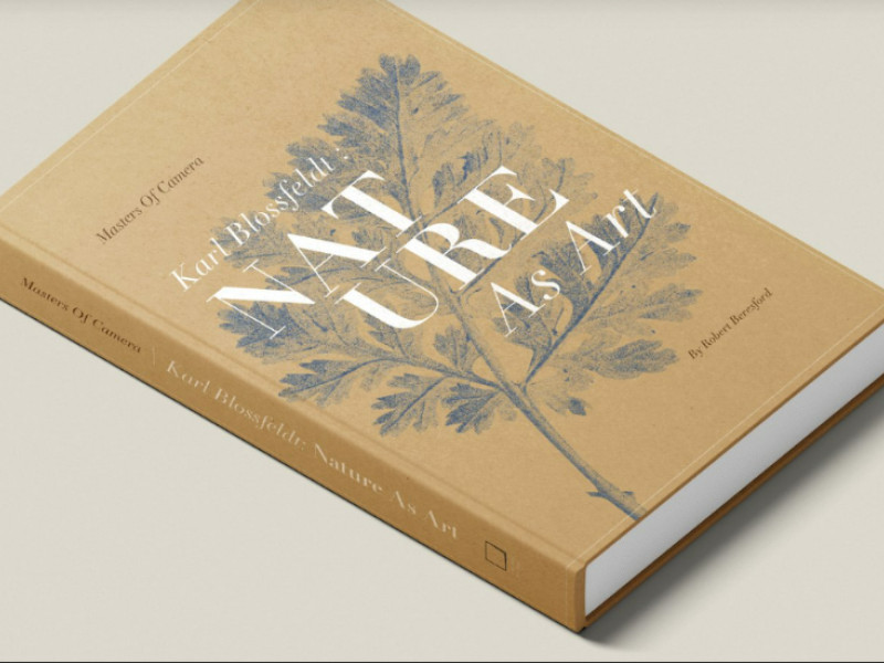 Karl Blossfeldt Print Design