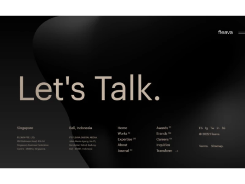 Fleava Website Design