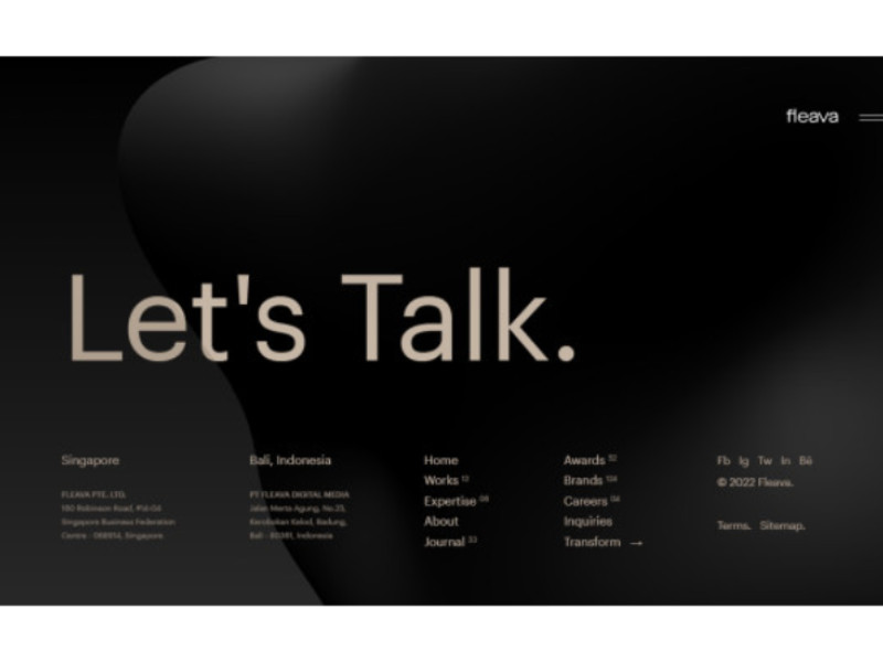 Fleava Website Design