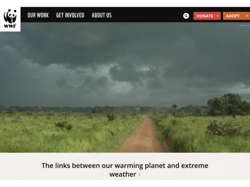 World Wildlife Fund Website Design
