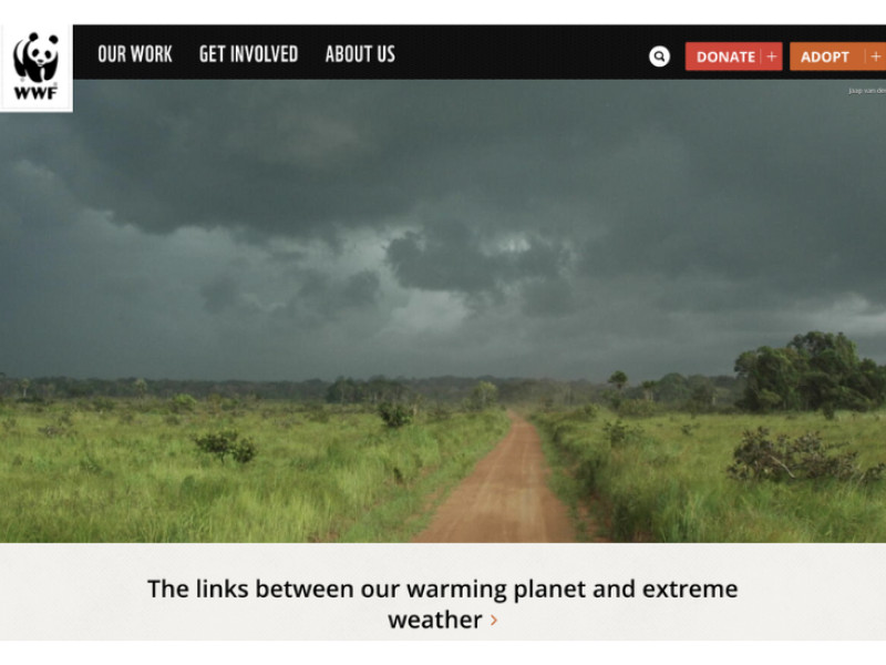 World Wildlife Fund Website Design