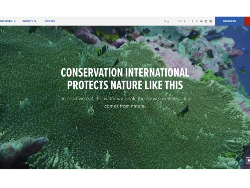 Conservation International Website Design