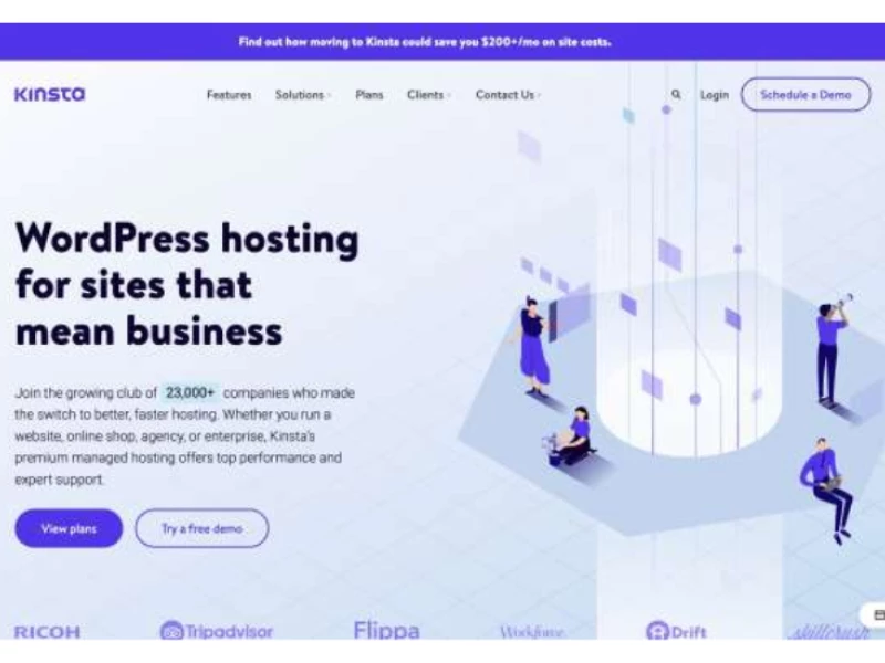 Kinsta Website Design